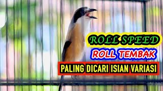 Download lagu VARIASI SUARA CENDET ROLL SPEED DAN ROLL TEMBAK, PANCINGAN CENDET FULL ISIAN JERNIH mp3