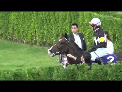 スプリンターズS（G1） 優勝馬 ストレイトガール