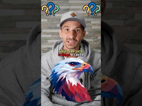 Коя е най-бързата птица на планетата земята?🌍Which one is the #fastest #bird on planet earth?🌍