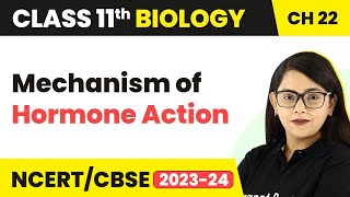 Mechanism of Hormone Action | Class 11 Biology Chapter 22 | NEET/NCERT