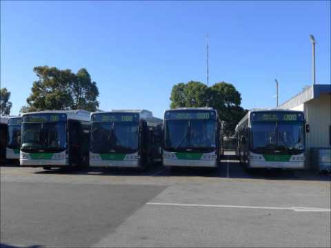 [Sound] Transperth Mercedes-Benz OC500LE (ZF)