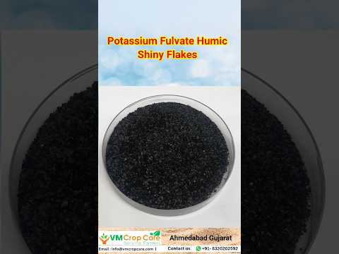 Humic acid shiny flakes 98%, 1 kg