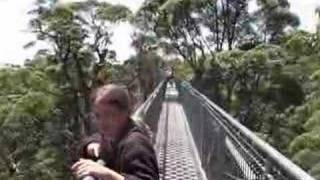 Valley of the giants