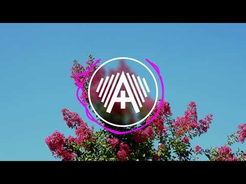 Manse & Blackcode Feat. Heleen- Don't Miss Out