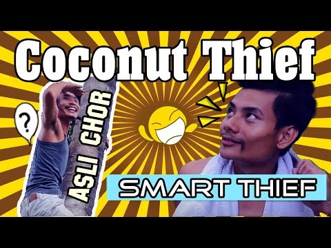 The Coconut Thief naga comedy part 1