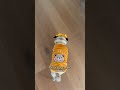 When The Cheese Drawer Opens This Puppy Comes Looking Dog Shorts Adorable Cute Pets