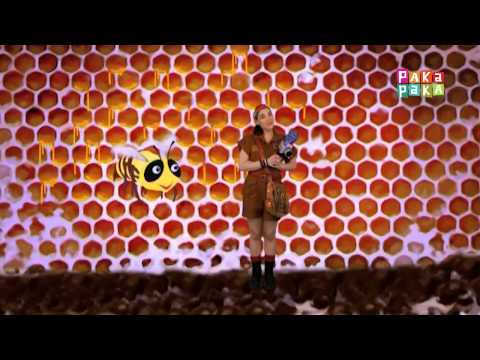 Animapaka II: Abeja (Cap. 25) - Canal Pakapaka