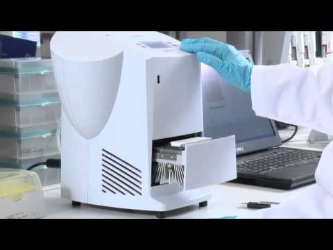 download lagu mp3 mp4 Piko Real Time Pcr, download lagu Piko Real Time Pcr gratis, unduh video klip Piko Real Time Pcr