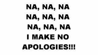 No Apologies sum 41 lyrics