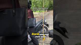 Download lagu When Mala was fishing, his wife told him to go home, making him laugh ‼️ #fishing #wife #go home ... mp3 Download lagu When Mala was fishing, his wife told him to go home, making him laugh ‼️ #fishing #wife #go home ... mp3