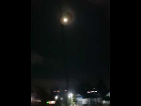 Tikusruk ft. Lil $ilit - Cewe Chindo (Remix by Lil Kevin Skrrttt)