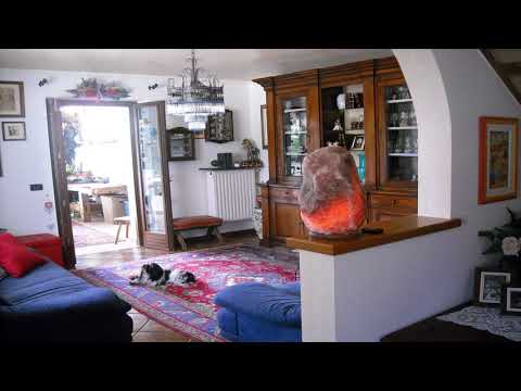 Green Rose - Cesiomaggiore - Italy