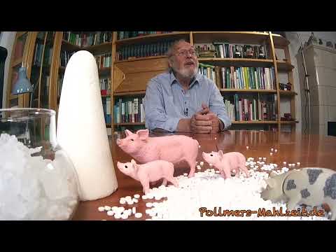 Pollmers Mahlzeit: Süßstoffe Teil 2 - Ganz bittere Pillen (UT)