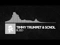 [Bounce] - Timmy Trumpet & SCNDL - Bleed ...