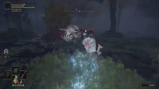 ［エルデンリング(ELDEN RING)]#8 ちょー下手だけど王になってみたい！