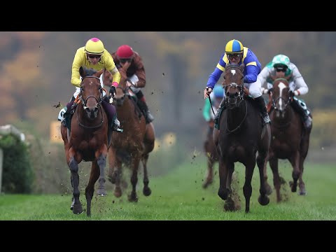 Krefeld: Großer Preis der Wohnstätte Krefeld - Herzog von Ratibor-Rennen 2024 Sieger: Pompeo Dream