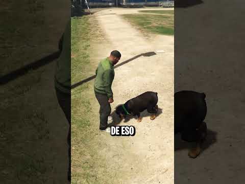 ¿Qué Pasa si Vemos a CHOP Antes de Conocerlo en GTA 5?