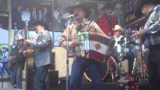 No Vuelvo Amar Los Viejones de Linares PILOS BAR