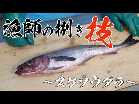 スケトウダラヤナギの切り方:これがプロのやり方です 植物