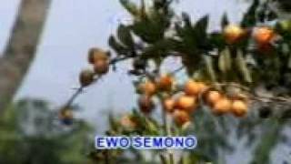 Download lagu Luntur - Gesang - Langgam Jawa - SD 3 Megawon mp3