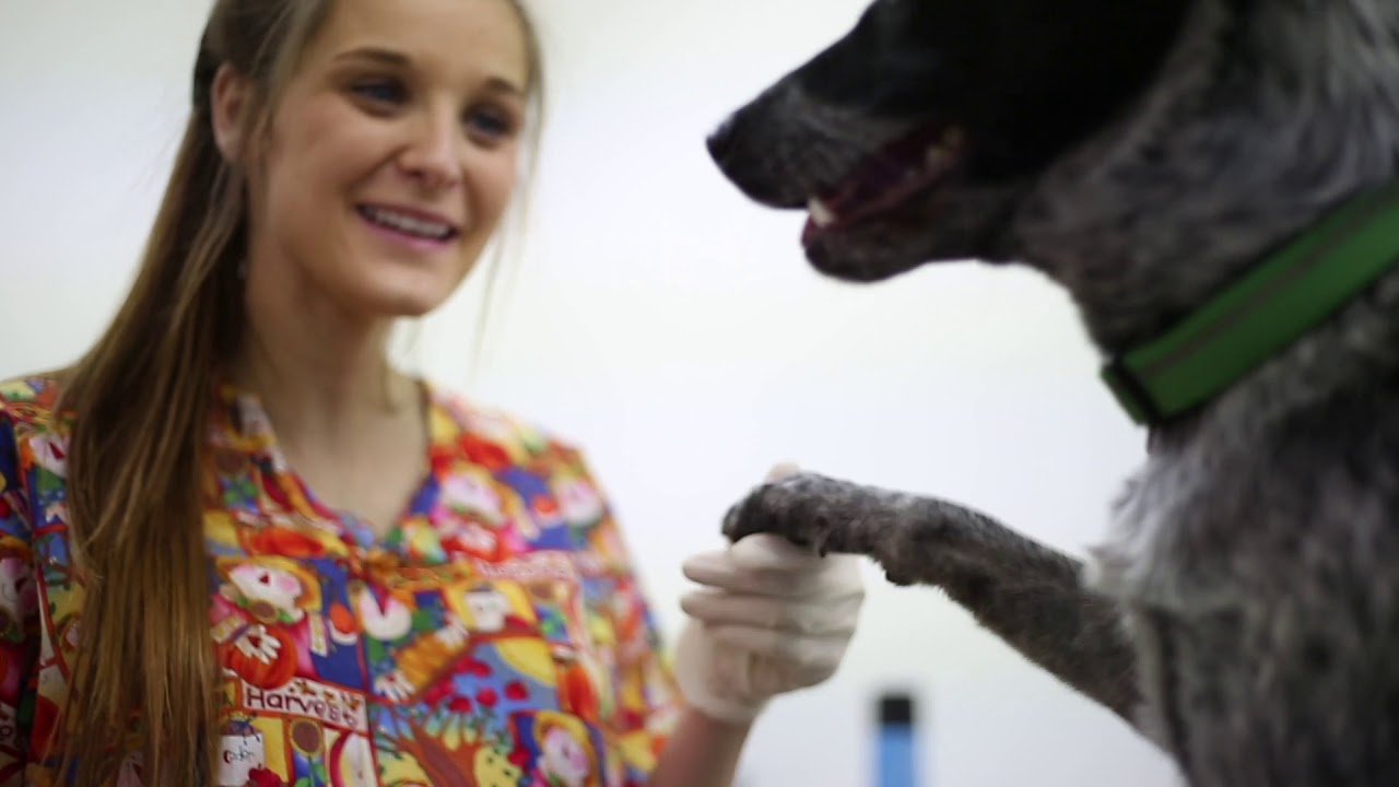 Build Me with CTE (Career and Technical Education)