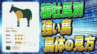 種牡馬別・馬体の見方｜リーディング上位9頭は見る場所が全部違います