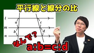 【中学数学】平行線と線分の比～分かりやすく～ 5-5