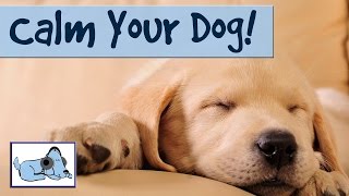 Music to Calm Down your Dog and Stop Barking- Relax my Dog