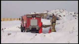 Им нипочем морозы