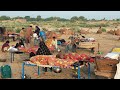 People living in the desert and their morning routine ||Camel herders desert life style #life