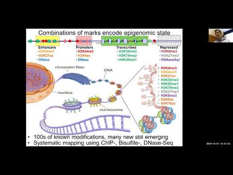 MIT CompBio Lecture 08 - Epigenomics I (Fall '19)