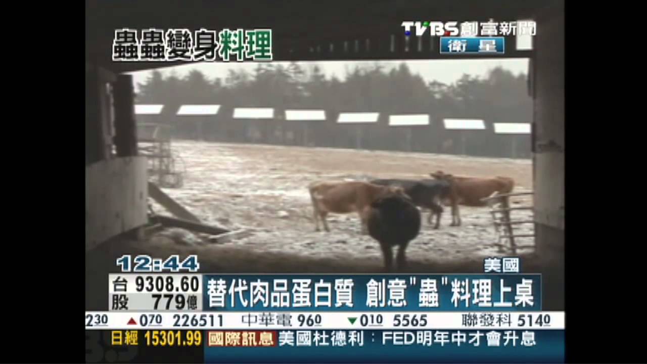 替代肉品蛋白質　創意「蟲」料理上桌