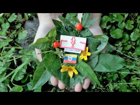 EF CHALLENGE 2018 ECUADOR ¿What does Sustainable development mean to you? -  Daniela Venegas