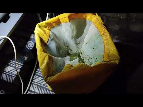 BUBBLE HASH ICE-O-LATER - Herstellung #3