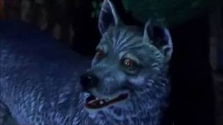 Rock City - The South&#39;s Greatest Tourist Attraction