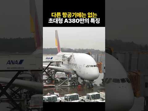 에어버스 A380: 초대형 2층 비행기의 독특한 매력과 단점