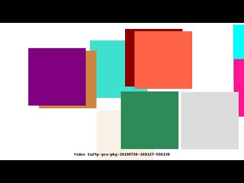 Video #sftp-gcs-pkg-20190726-160127-556130