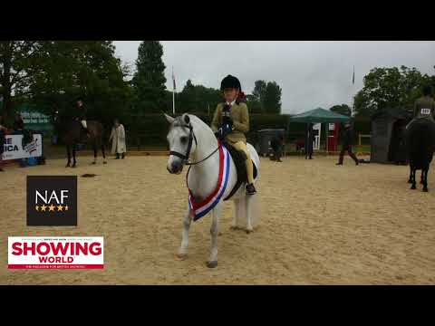 Class 228 Heritage M&M Pretty Polly First Ridden Champion and Overall Supreme Wyedean Sinatra