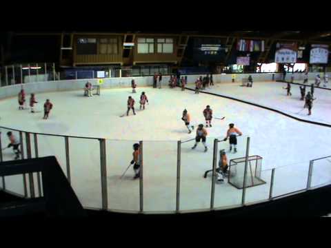 Hokej U10, Šišić 2015, Crvena Zvezda - Vukovi Sarajevo 3:0