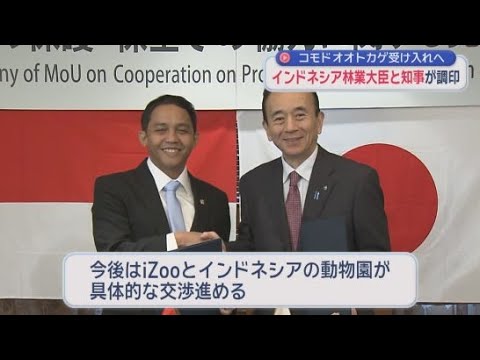 YouTube Video 静岡・河津町の動物園がコモドオオトカゲを受け入れへ　静岡県はインドネシア政府と保護や保全に関する覚書を調印
