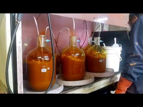 Gold Refining: Gold Chloride Dissolved by Aqua Regia Acid.