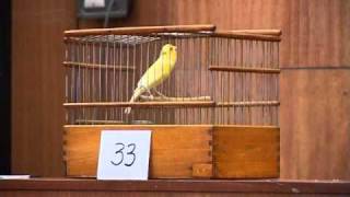 33.wmv