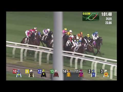 ［賽事重溫］飛輪閃耀(E054) 第二班 - 1600米 - (105-80)  TOURBILLON DIAMOND(E054) - Class 2 - 1600M - (105-80)