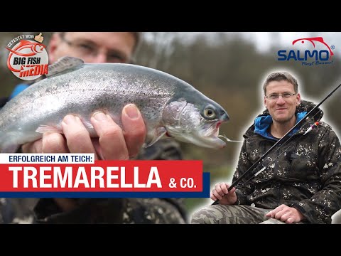Successful fishing at the pond: Trout fishing with the Tremarella rig