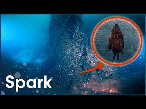 The Dangerous Deep-Sea Dives To Clear The Ocean Of 'Ghost Nets'
