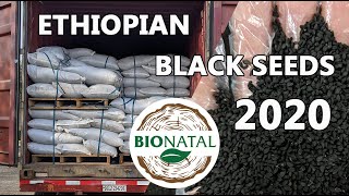 Receiving black seeds from Ethiopia