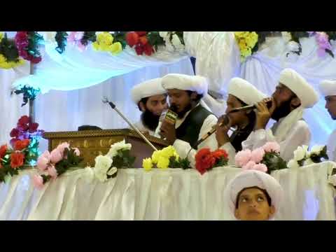 New Naat 2025/Hafiz Samran Saifi/Phir k gali gali tabah thokry sab ki khaen ku/Saifi Naat