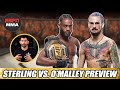 Dominick Cruz UFC 292 Breakdown: Aljamain Sterling vs. Sean O’Malley | ESPN MMA