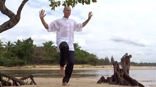 Qi Gong des 5 animaux - (五禽戏 WU QIN XI) - Séance complète. Qi Gong of 5 animals, Full session