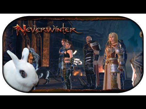NEVERWINTER: Paladin-LP 🐇 111 - Seit' an Seit' mit legendären Helden